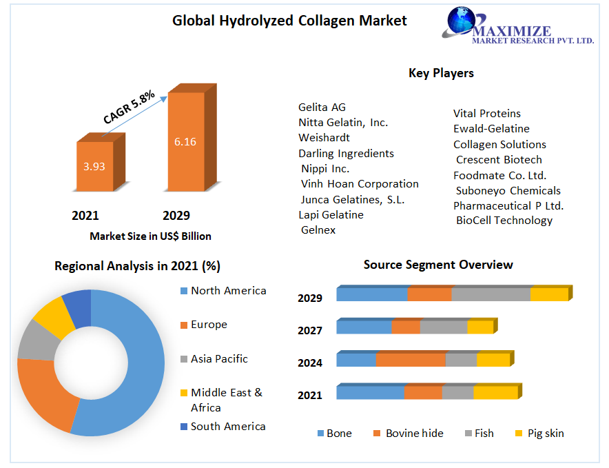 Global Hydrolyzed Collagen Market