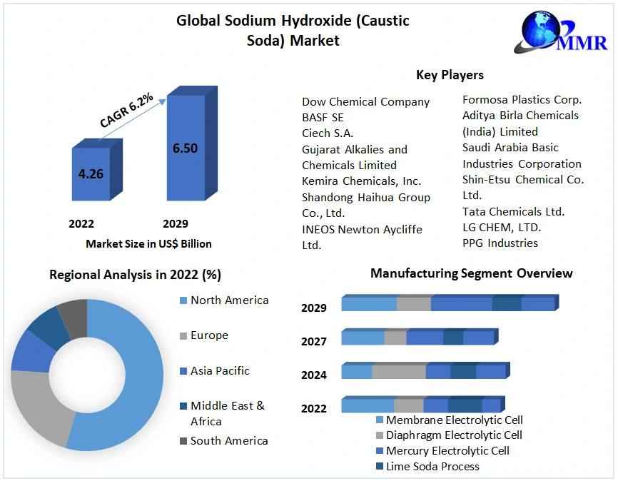 Global Sodium Hydroxide (Caustic Soda) Market