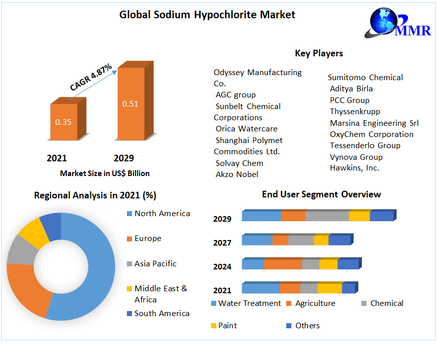 Sodium Hypochlorite Market – Global Industry Analysis and Forecast 2029