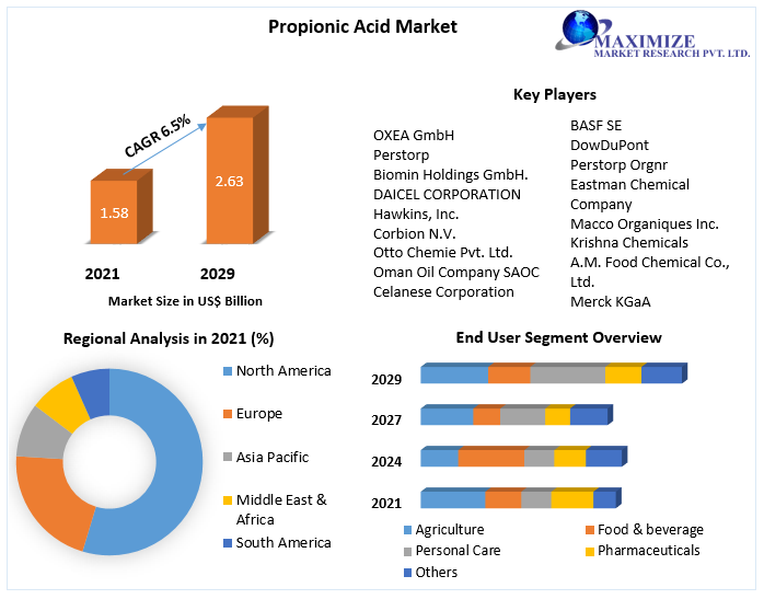 Propionic Acid Market