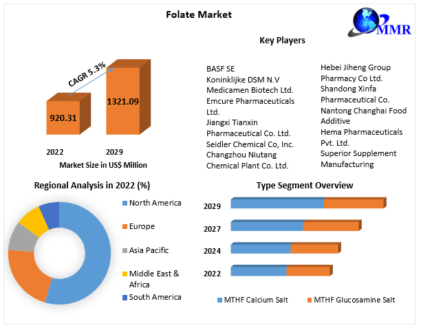 Folate Market: Global Industry Analysis and Forecast (2023-2029)