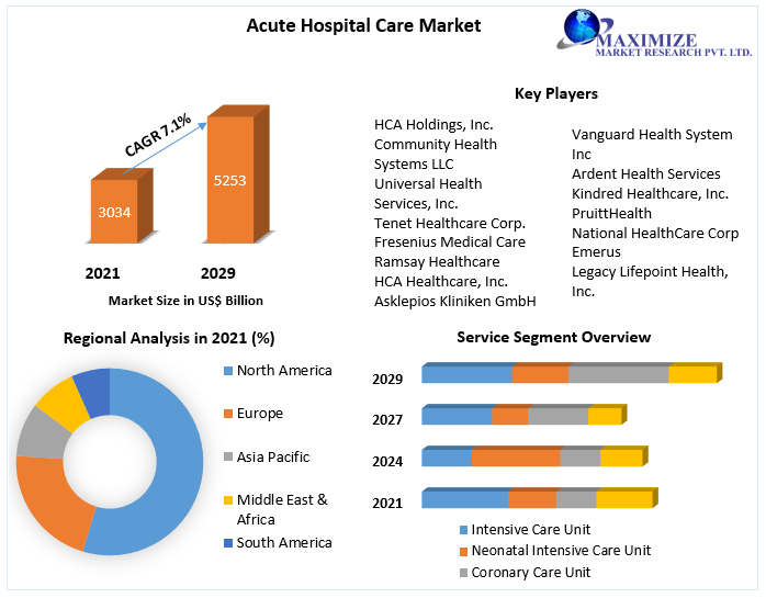 Acute Hospital Care Market- Global Industry Analysis and Forecast