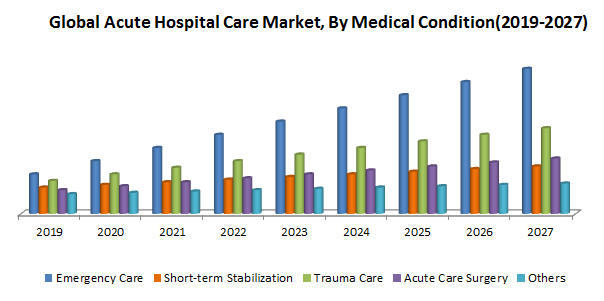 Global Acute Hospital Care Market