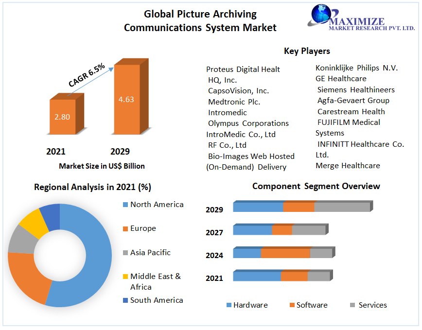 Global Picture Archiving Communications System Market