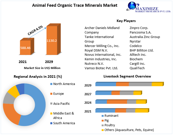 Animal Feed Organic Trace Minerals Market