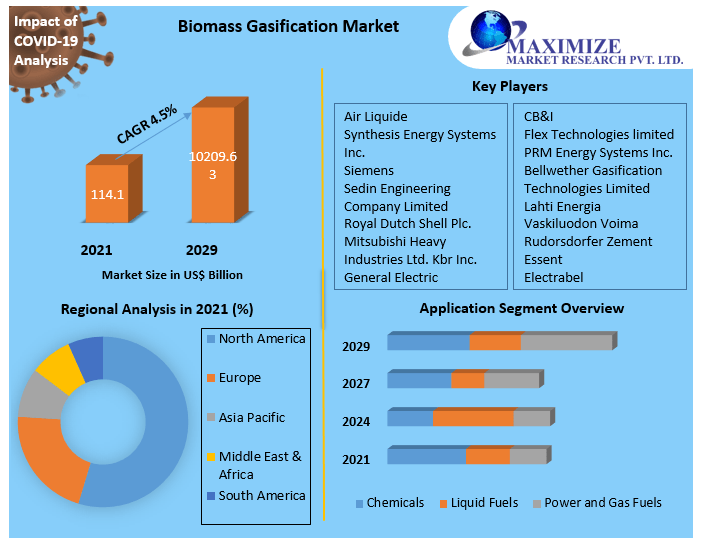 Biomass Gasification Market- Global Industry Analysis and forecast 2029