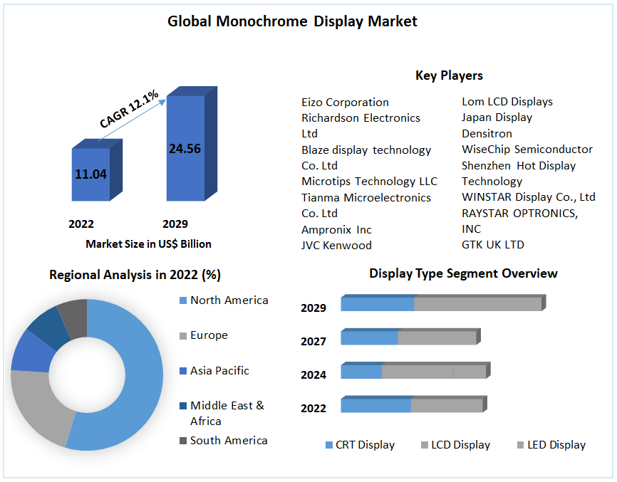 Global Monochrome Display Market