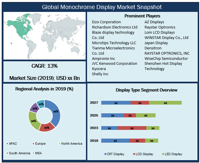 Global Monochrome Display Market Snapshot