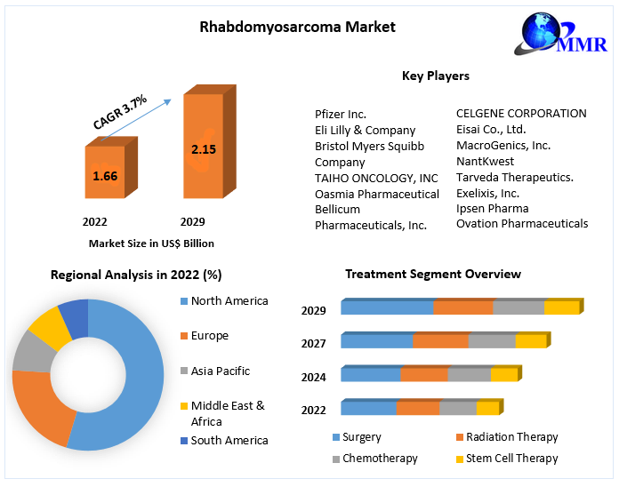 Rhabdomyosarcoma Market: Global Industry Analysis and Forecast 2029