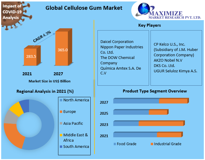 Cellulose Gum Market Global Industry Analysis and Forecast (20222027)