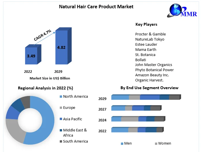 Natural Hair Care Product Market-Industry Analysis and forecast -2029