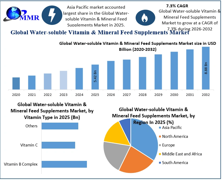Water-soluble Vitamin & Mineral Feed Supplements Market 2025-2032