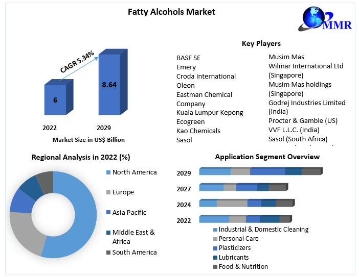 Fatty Alcohols Market