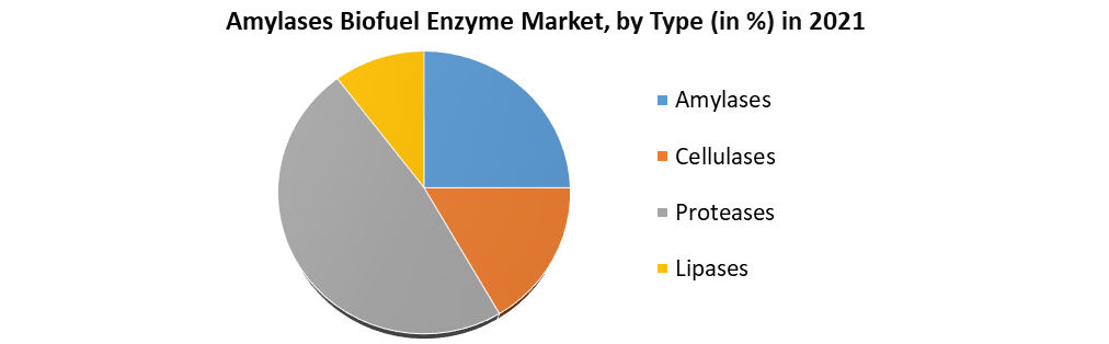 Amylases Biofuel Enzyme Market