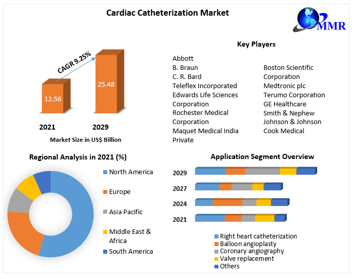 Cardiac Catheterization Market: Global Industry Analysis and Forecast