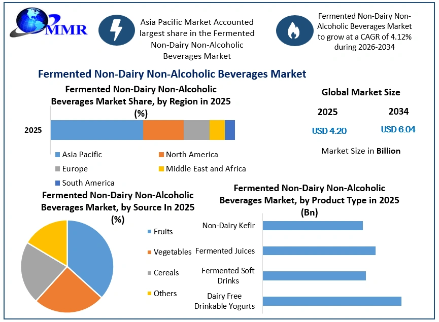 Fermented Non-Dairy Non-Alcoholic Beverages Market Growth