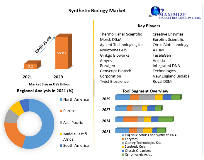 Synthetic Biology Market: Global Industry Analysis (2022-2029)
