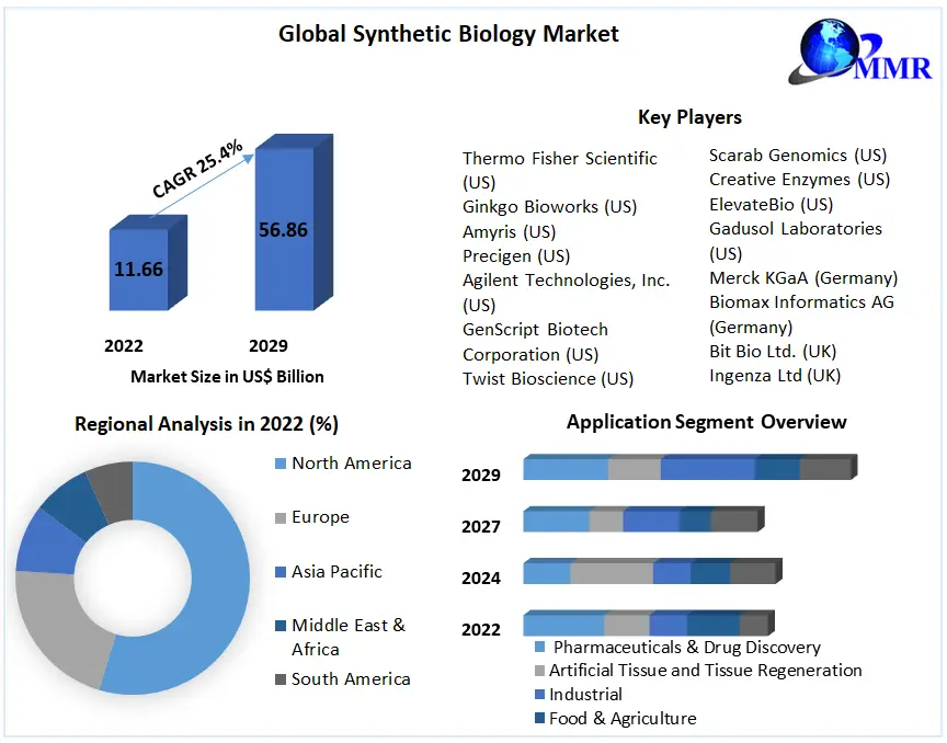 Synthetic Biology Market: Global Trends, Statistics, Forecast | 2029