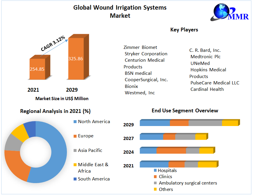 Global Wound Irrigation Systems Market