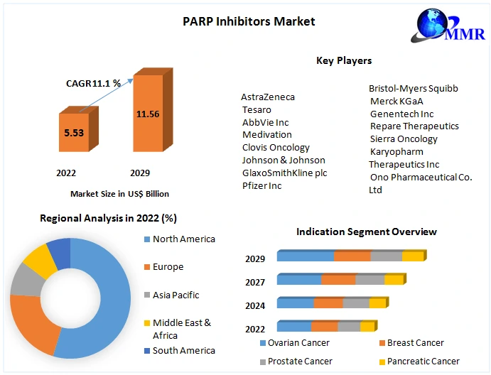 PARP Inhibitors Market.