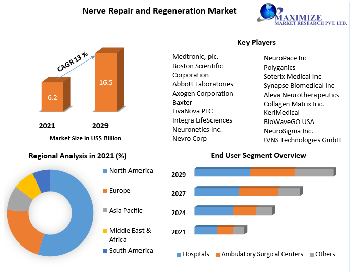 Nerve Repair and Regeneration Market: Trends, Statistics, Dynamics,