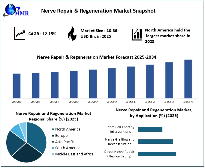 Nerve Repair and Regeneration Market Growth