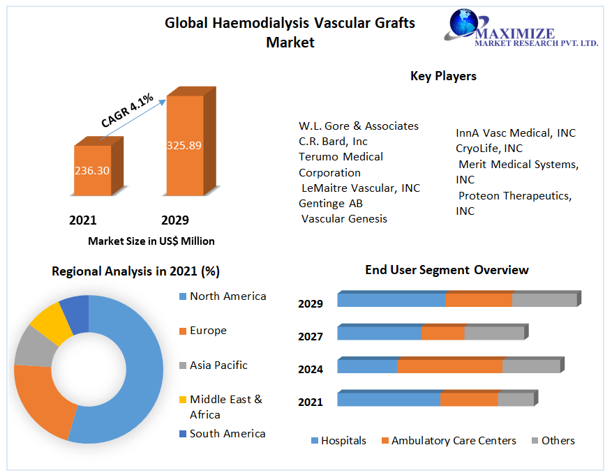 Global Haemodialysis Vascular Market