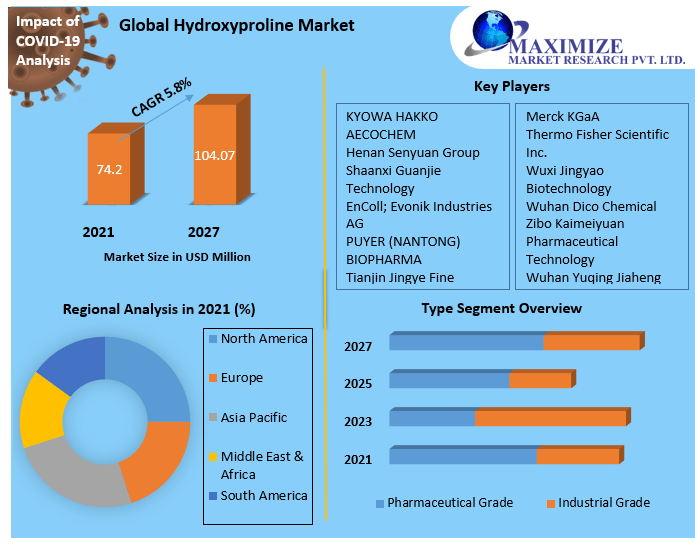 Hydroxyproline Market: Global Industry Forecast (2022-2027)
