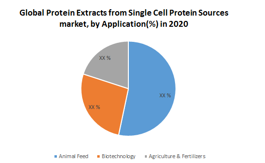 Global Protein Extracts from Single Cell Protein Sources Market