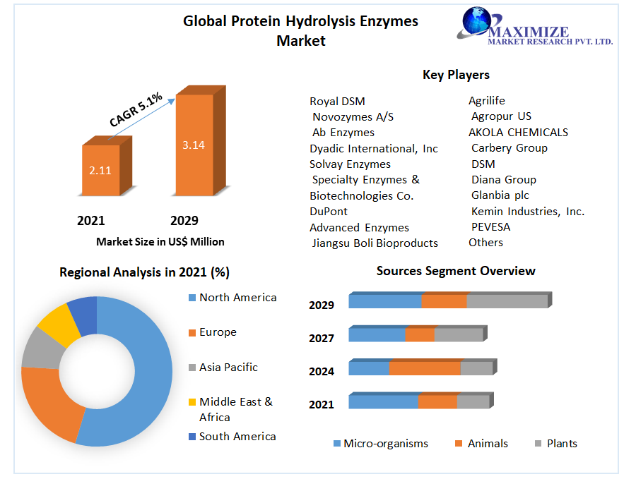 Protein Hydrolysis Enzymes Market: Global Industry Analysis and Forecast