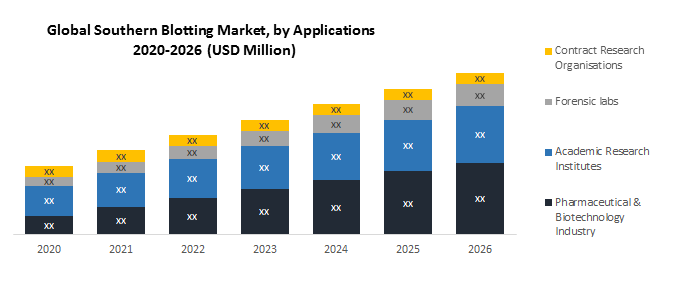 Global Southern Blotting Market