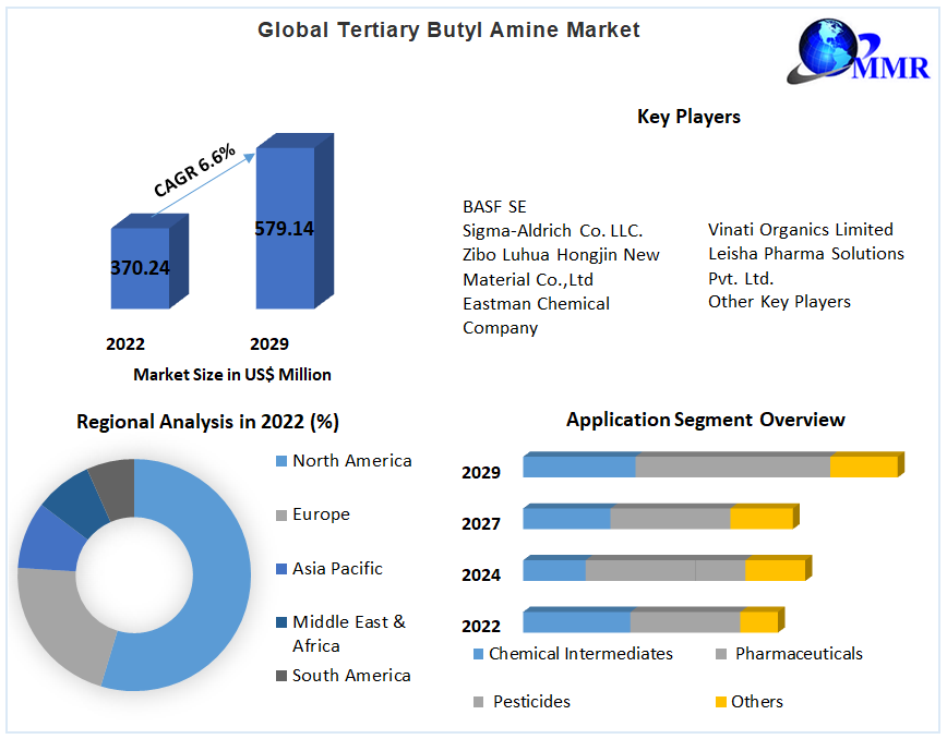 Global Tertiary Butyl Amine Market