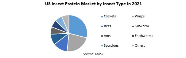 Insect Protein Market