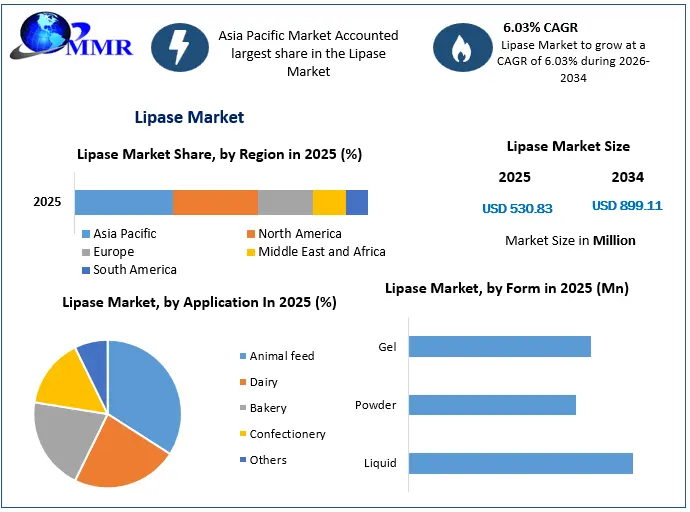 Lipase Market Growth