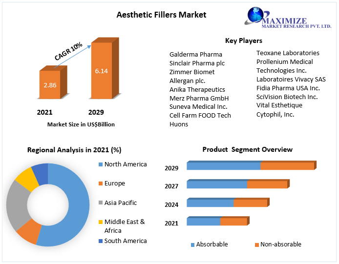 Aesthetic Fillers Market: Global Industry Analysis & Forecast (2022-2029)