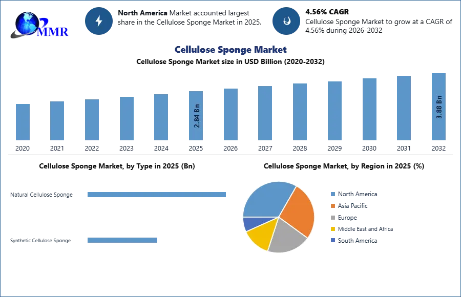 Cellulose Sponge Market