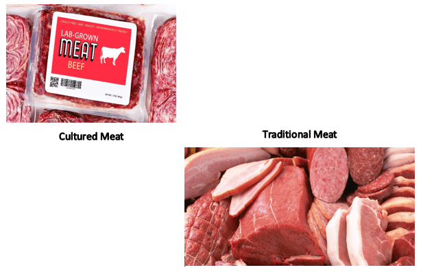 Cultured Meat Market 1