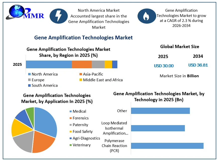 Gene Amplification Technologies Market Growth
