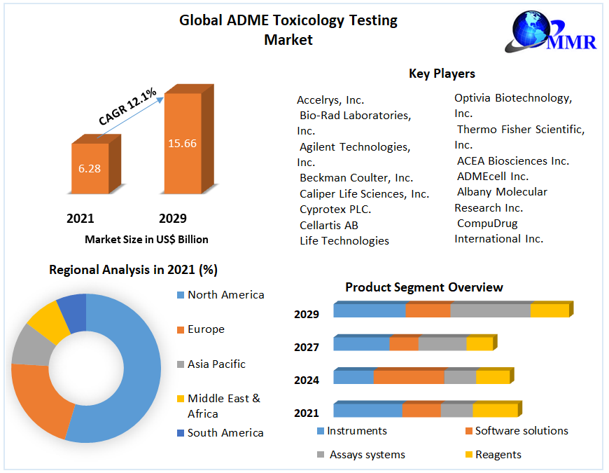 ADME Toxicology Testing Market: Global Industry Analysis 2029