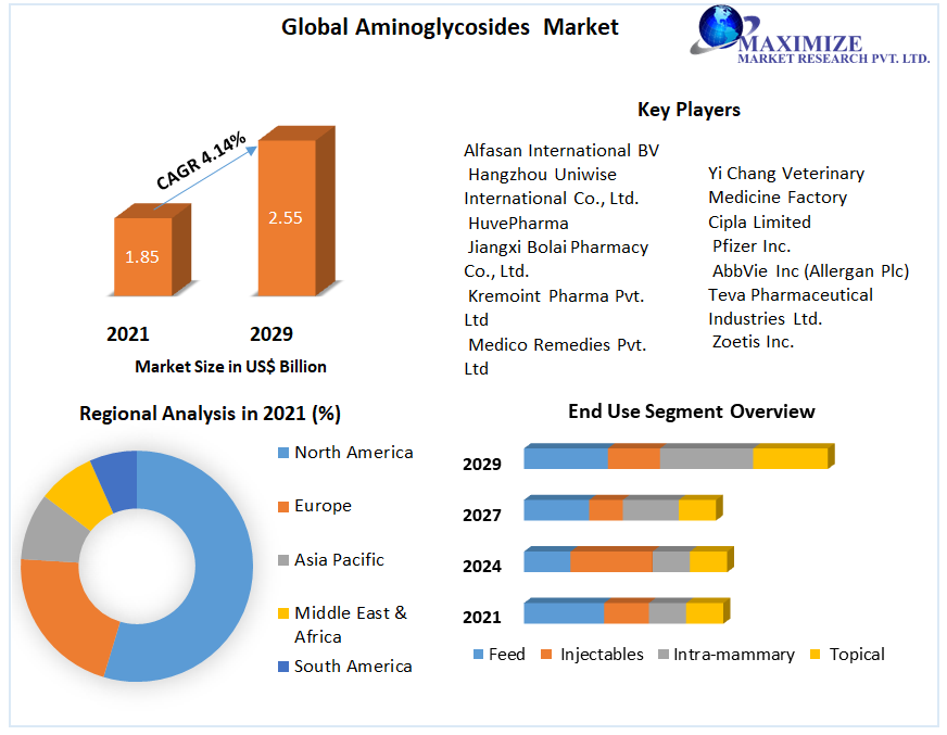 Aminoglycosides Market: Global Industry Analysis and Forecast 2029