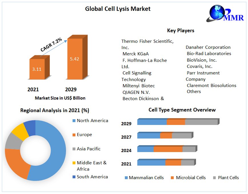 Cell Lysis Market: Global Industry Analysis and Forecast 2022-2029