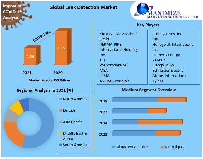 Leak Detection Market: Global Industry Analysis and Forecast (2022-2029)