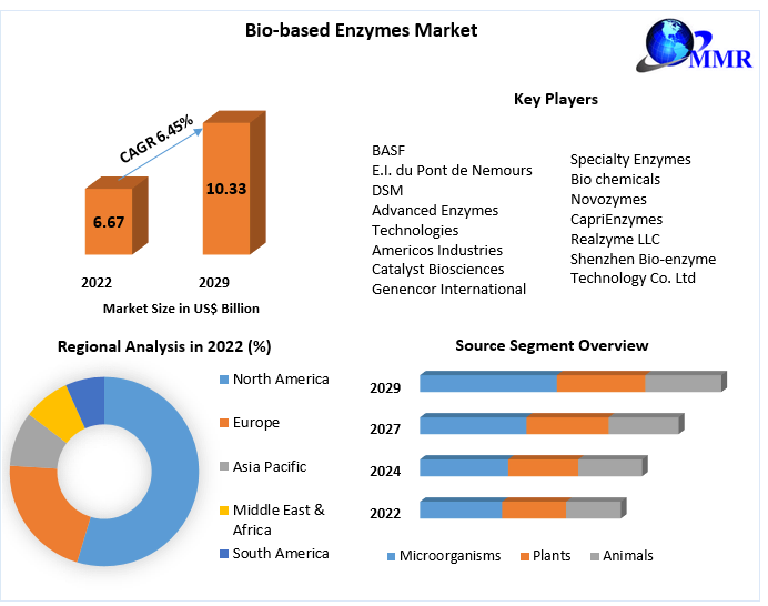 Bio-based Enzymes Market : Global Industry Analysis and Forecast 2029