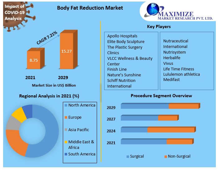 Body Fat Reduction Market: Global Industry Analysis and Forecast 2029
