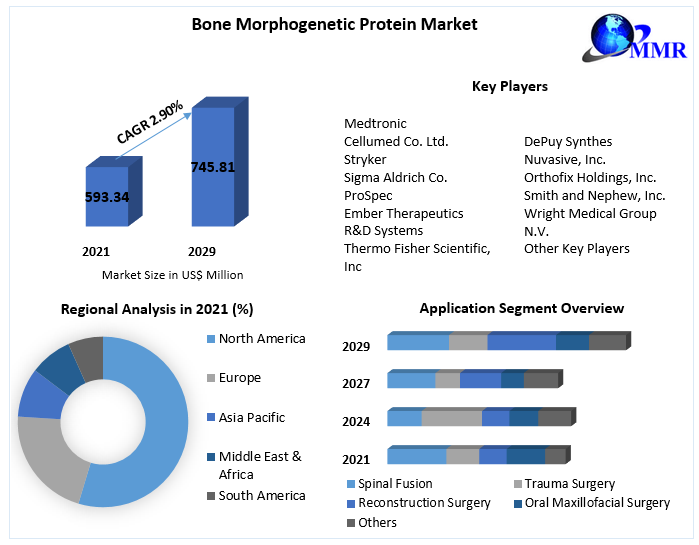 Bone Morphogenetic Protein Market- Global Industry Analysis 2029