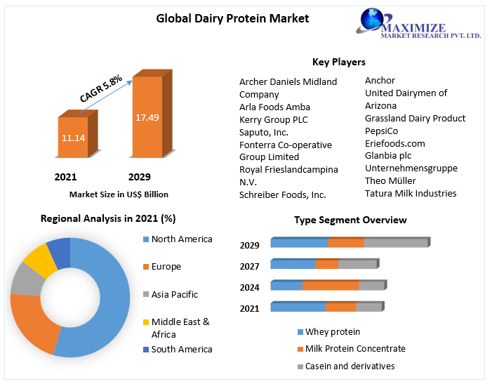 Dairy Protein Market: Global Industry Analysis and Forecast (2022-2029)