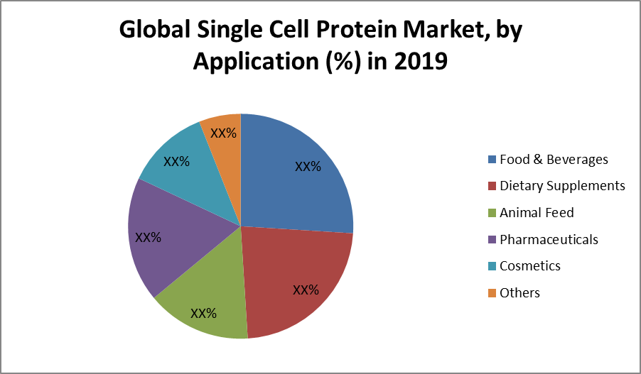 Global Single Cell Protein Market