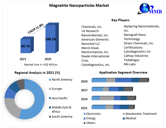 Magnetite Nanoparticles Market: Global Industry Analysis Forecast 2029