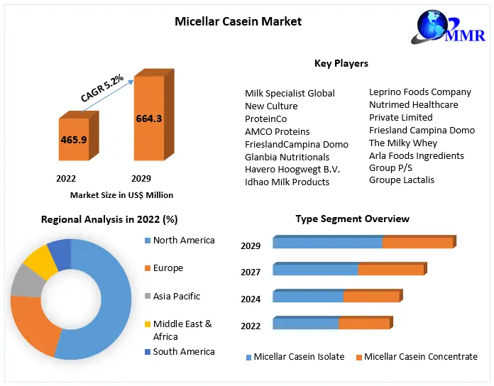 Micellar Casein Market - Global Industry Analysis and Forecast 2029