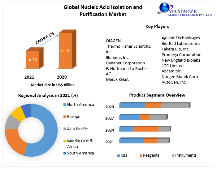 Nucleic Acid Isolation and Purification Market-Analysis and Forecast 2029